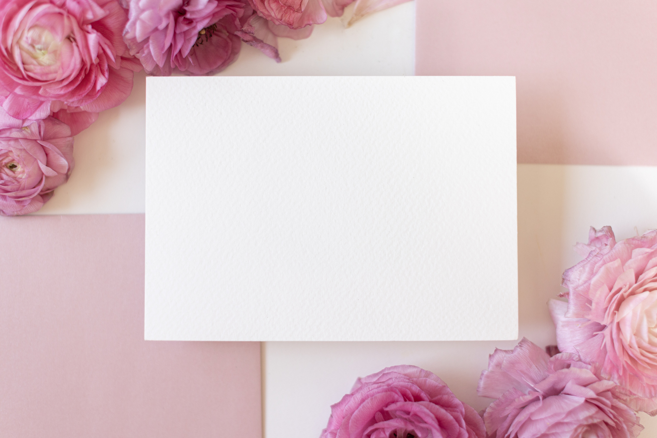 Blank Card with Pink Flowers on White Background